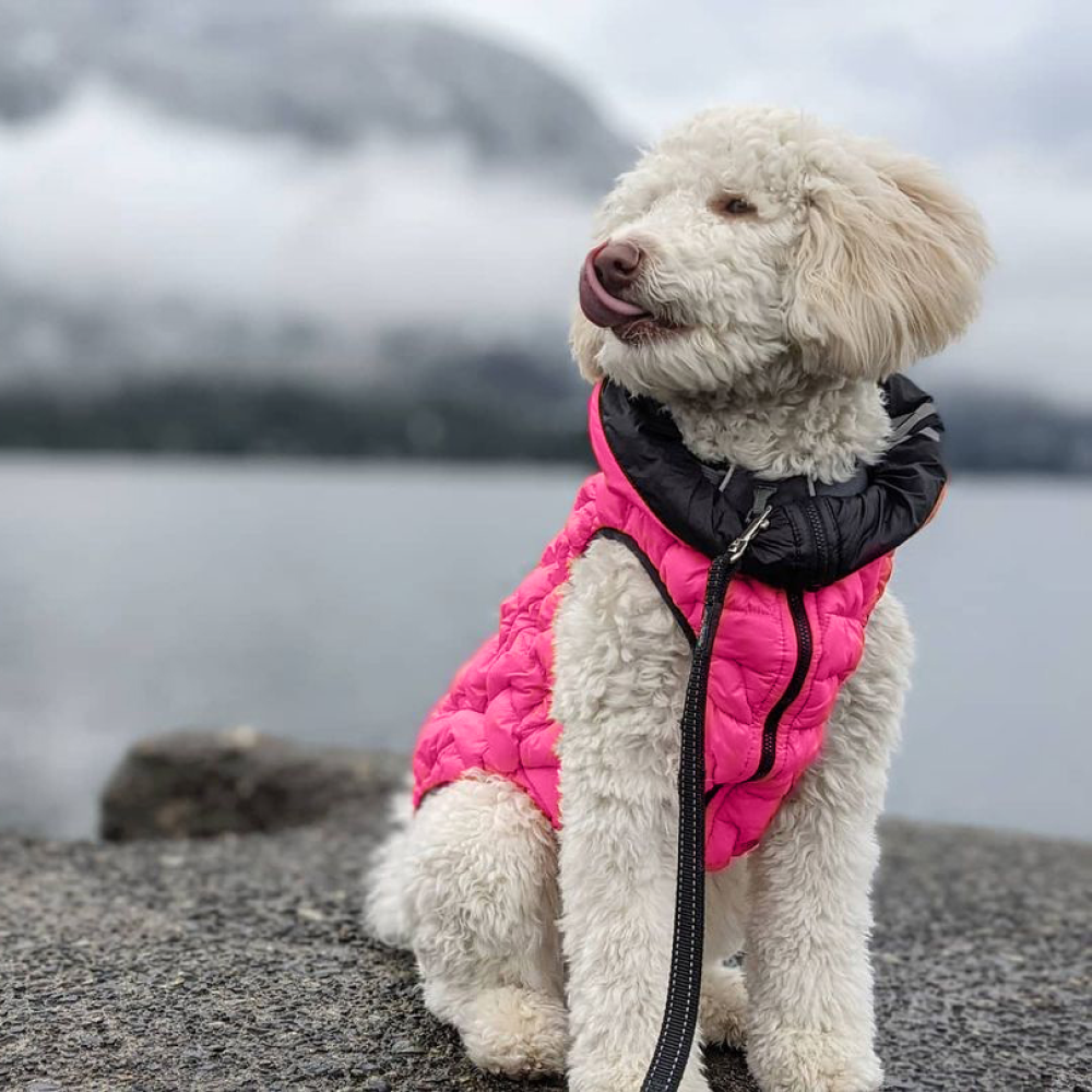 Flexible Airyvest UNI