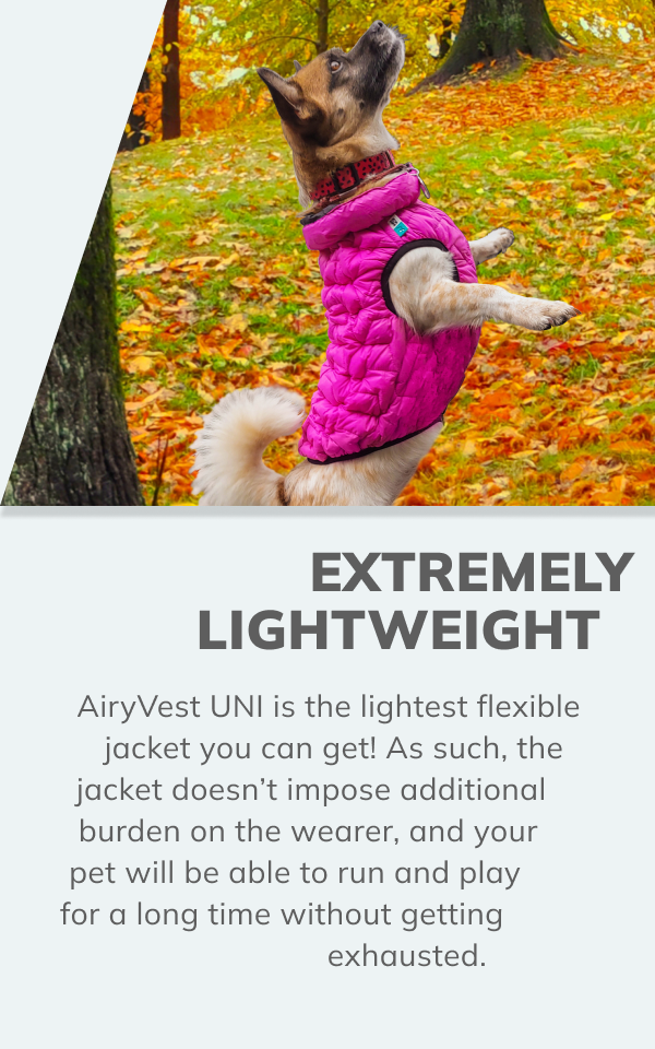 Flexible Airyvest UNI