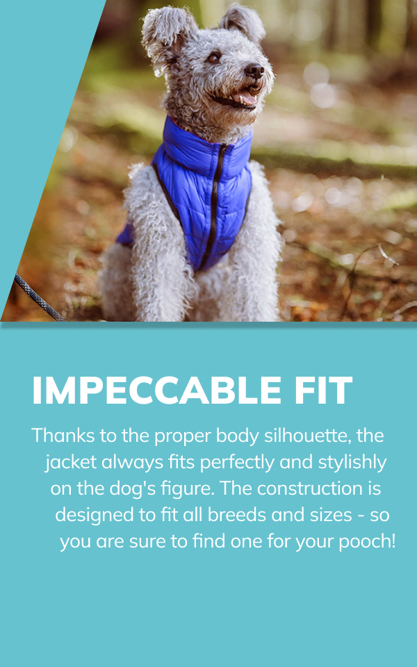 Airyvest 2025 dog jacket