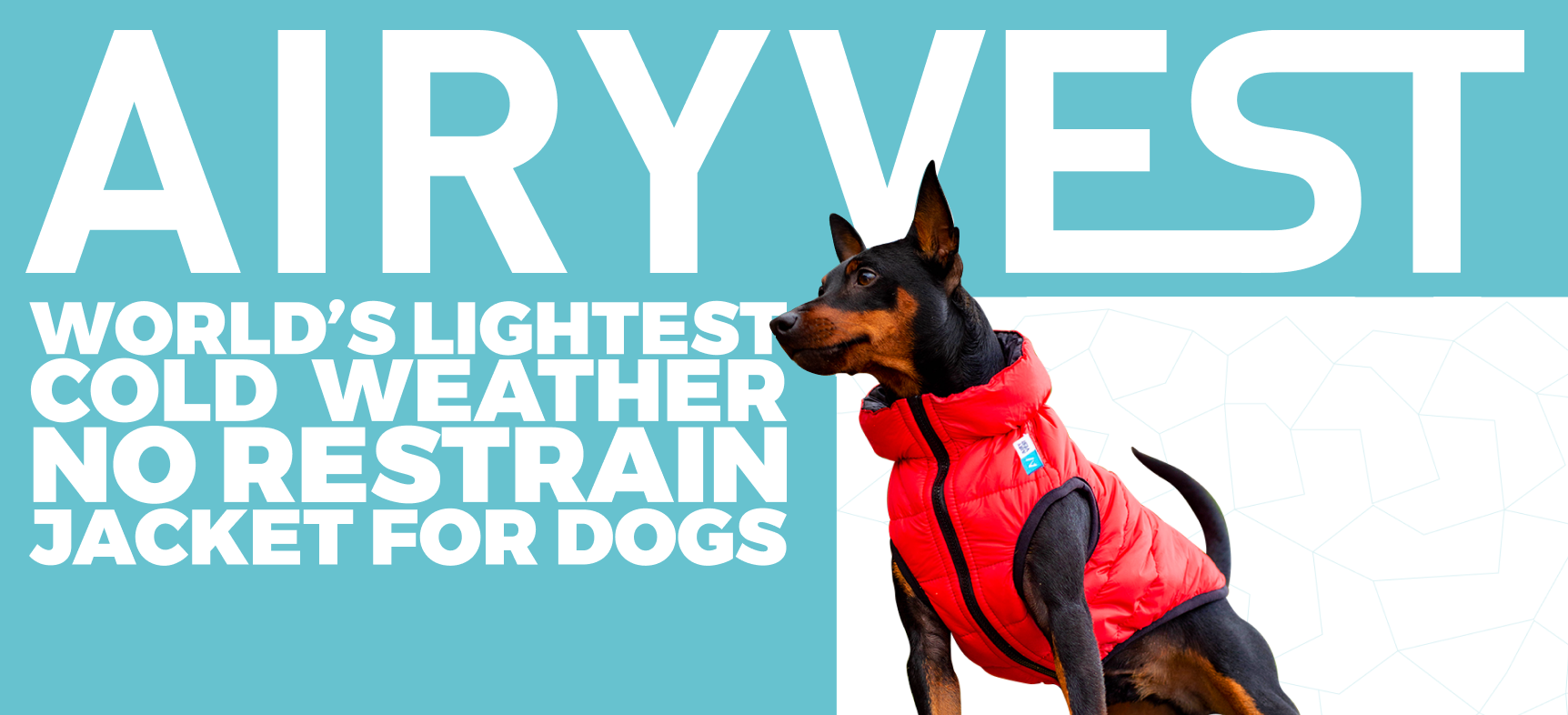 Dog Winter Clothes - AIRYVEST Dog Winter Clothes - AIRYVEST