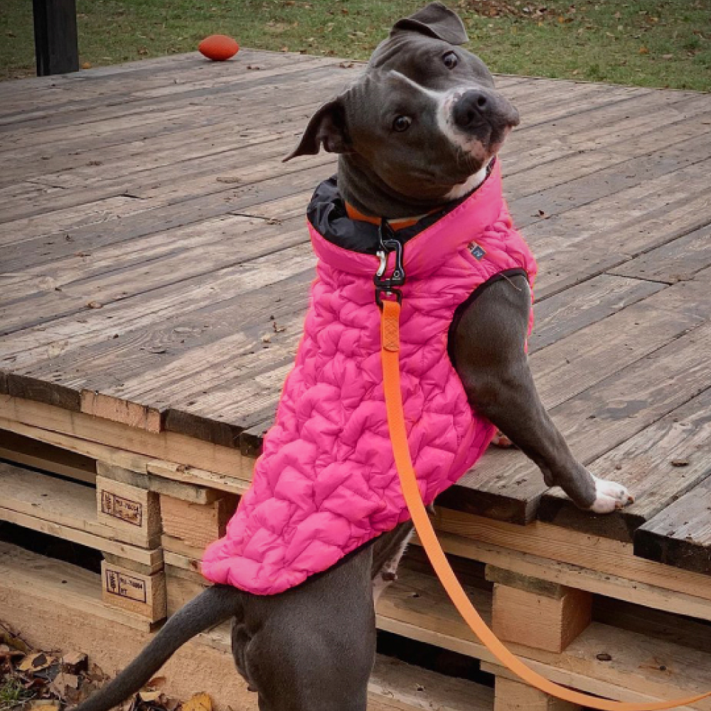 Flexible Airyvest UNI